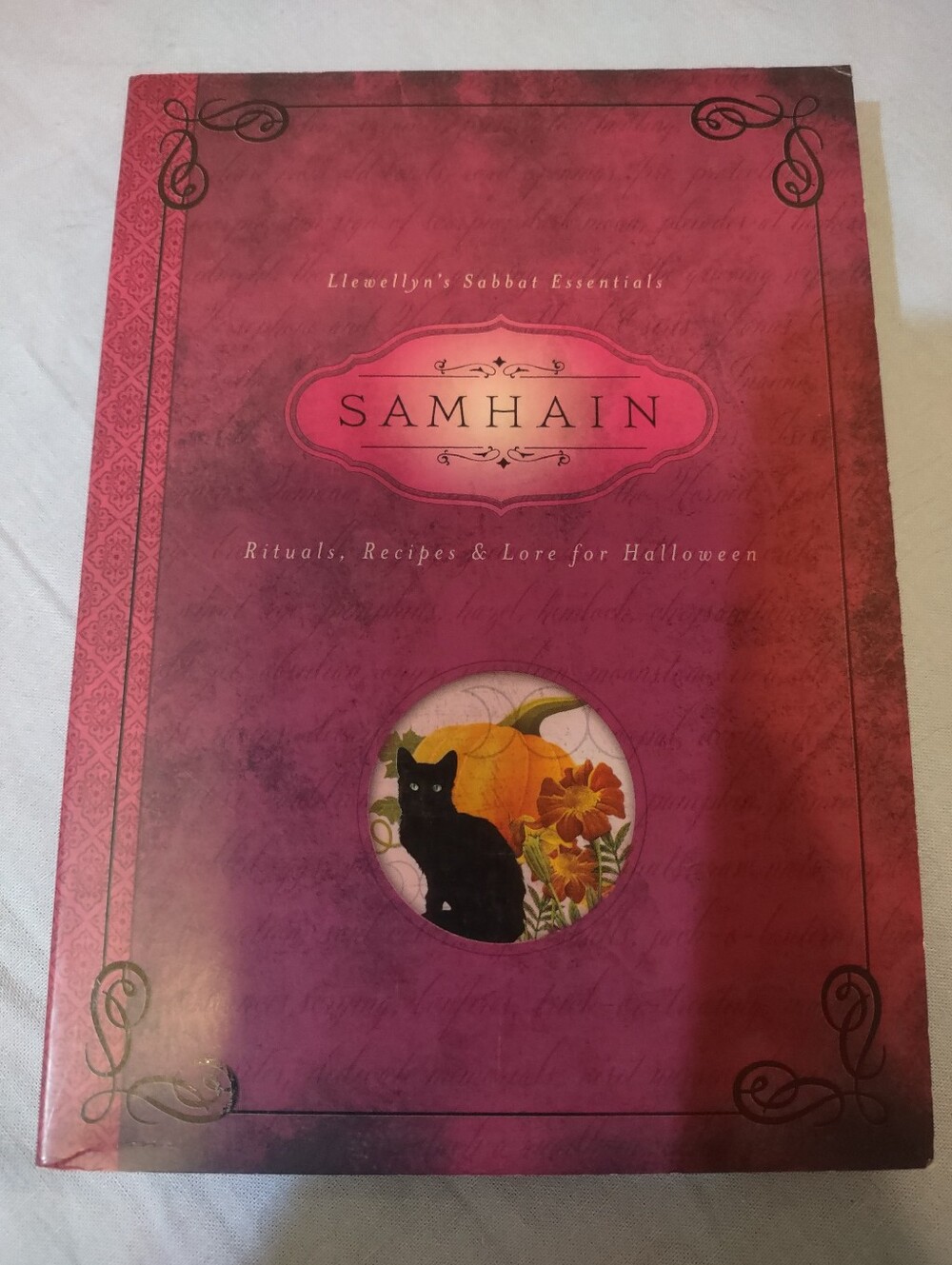 Samhain Book - Pink to Magenta Cover with Black Cat Illustration